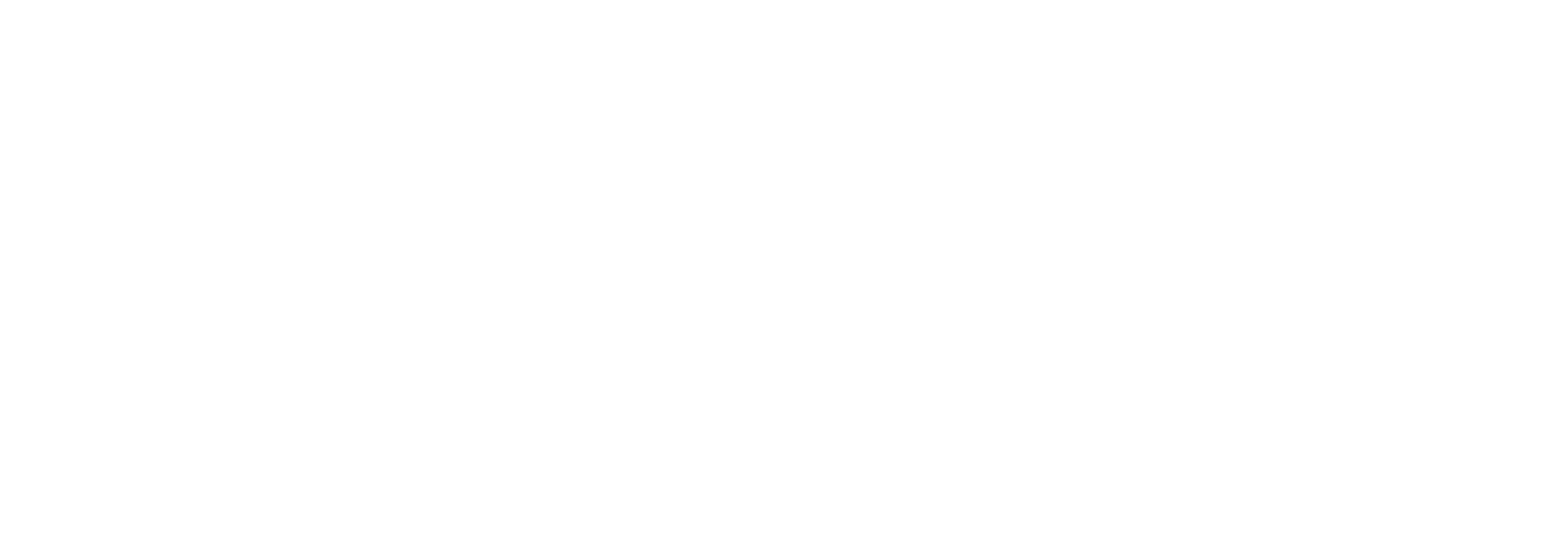 The Dislockers
